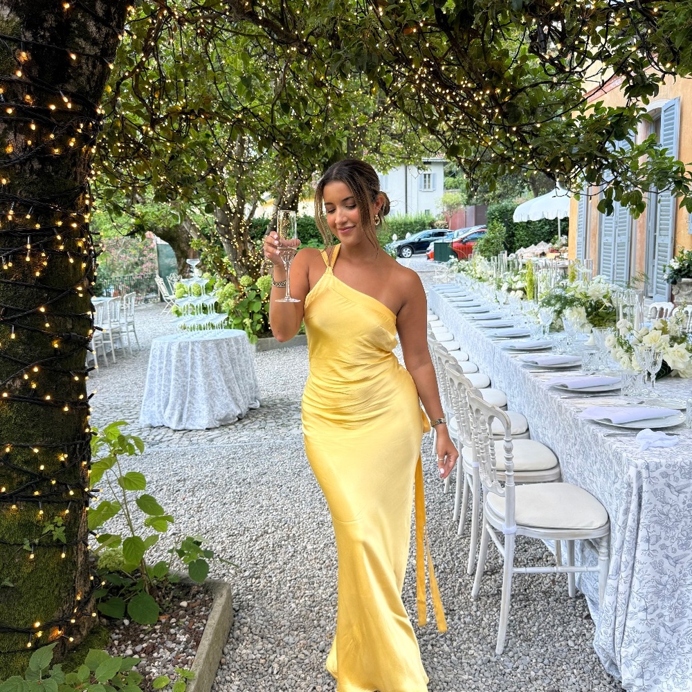Arcina ori Monique dress - Picture 5 of 5